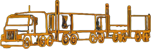 D Bay Transport